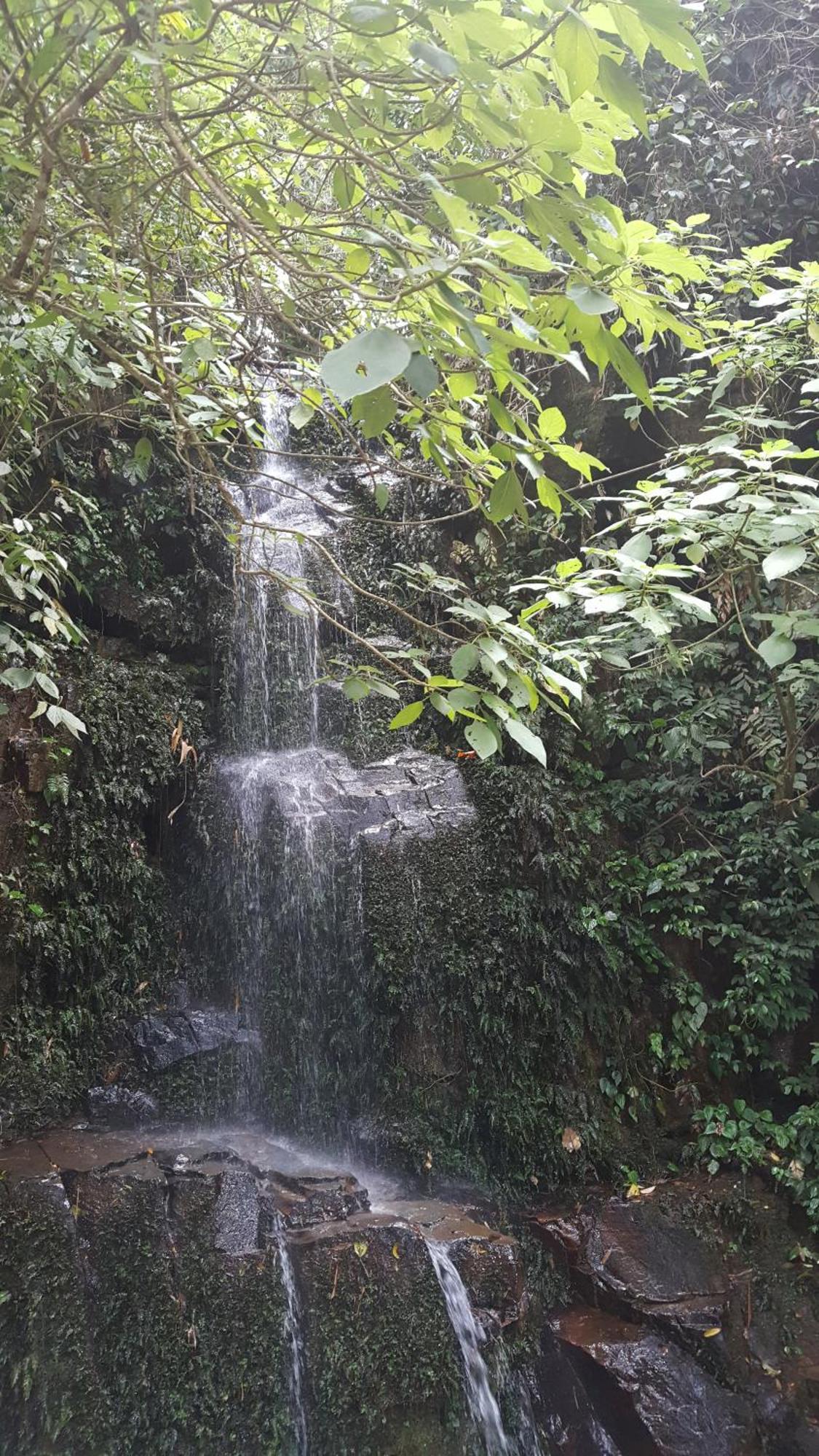 Appartamento Harmonia Flat Particular Ilhabela Esterno foto